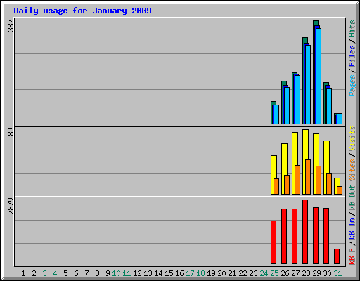 Daily usage for January 2009