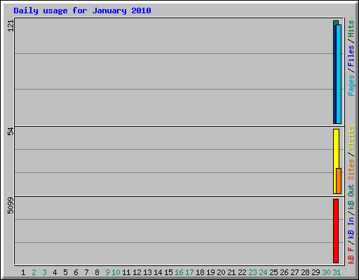 Daily usage for January 2010