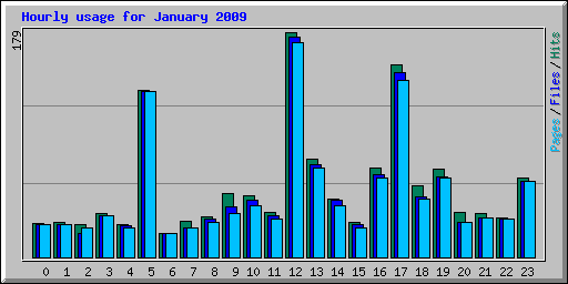Hourly usage for January 2009